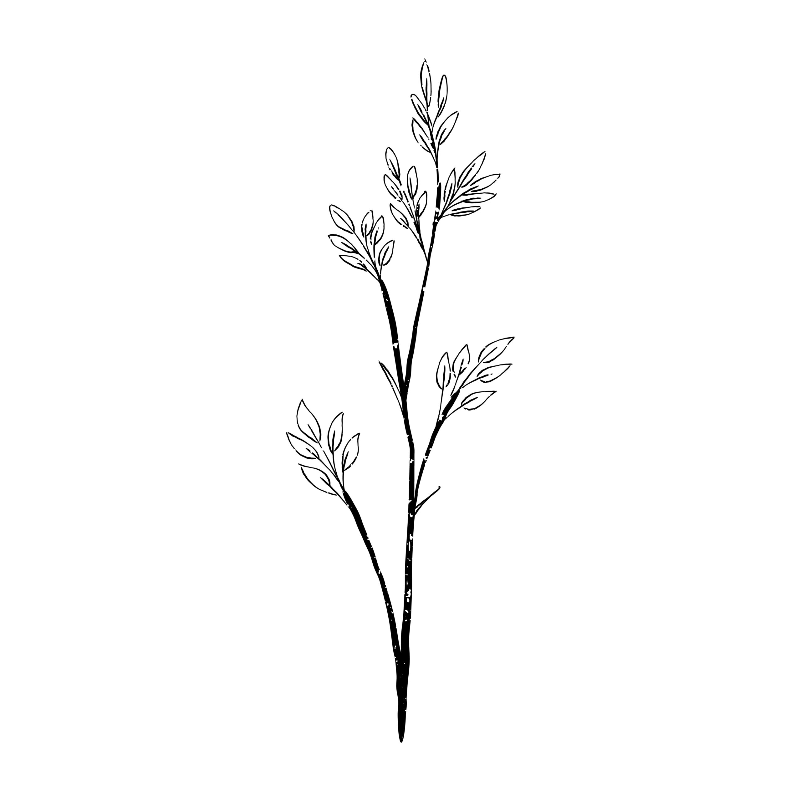 Garten- und Freiraumplanung LH